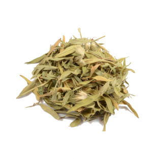 Maconha Brava (Zornia latifolia)